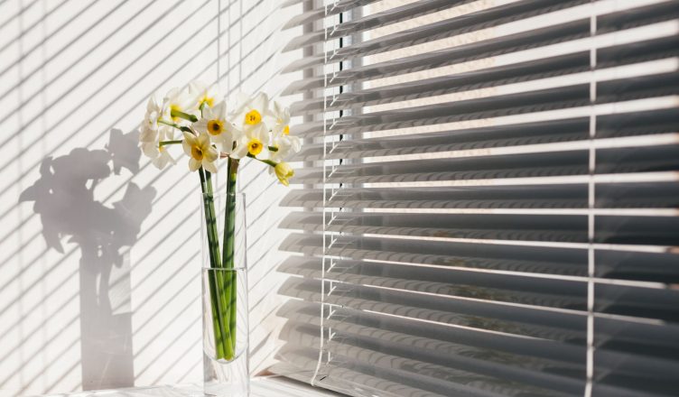 brise-soleil